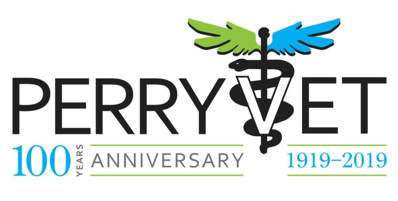 Anniversary Logo